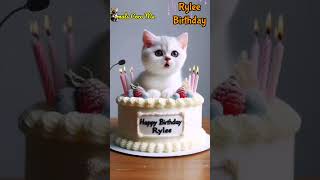 HAPPY BIRTHDAY TO YOU RYLEE  HAPPY BIRTHDAY SONG WITH NAMES  Adorable Cute Cat 😺 happybirthday [upl. by Lamahj]