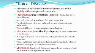 Mycobacteria TB Leprosy PART2 by Dr Abdulrahman Alhusaini [upl. by Lewellen]