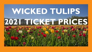 2021 Ticket Prices  Wicked Tulips [upl. by Eicyal908]