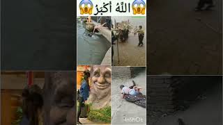 Allah makkah madina🕋🤲 islamicvideo islamic viral shorts islamicstatus [upl. by Ailet]