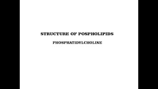 structure of phosphatidylcholine  phospholipids [upl. by Ynnus557]