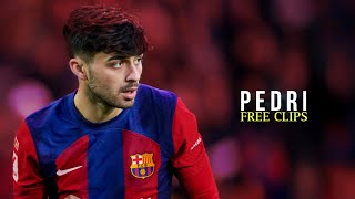 Pedri 2024 ● FREE CLIPS  NO WATERMARK ● FREE TO USE ● HD 1080 [upl. by Gill]