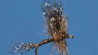 Fly Tying for Beginners a Guinea and Grizzly with Jim Misiura [upl. by Seaddon]