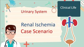 Renal ischemia  Case Scenario 2 [upl. by Dzoba]