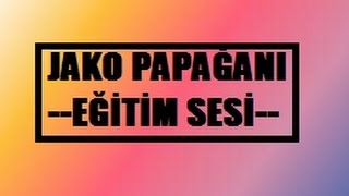 1 Saatlik Jako Papağanı Sesi [upl. by Mandy]