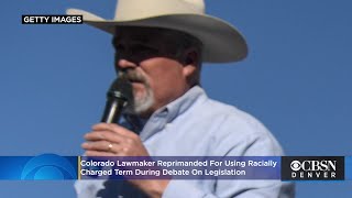 Colorado Lawmaker Rep Richard Holtorf Who Used Racially Charged Term Buckwheat Reprimanded [upl. by Eadie627]