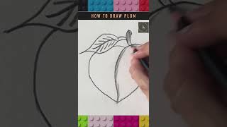 How to draw Plum step by step  Easy Tutorial of plum  Tutorial For Beginners [upl. by Pate310]