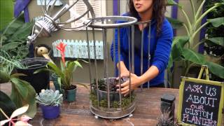 Planting a Succulent Birdcage [upl. by Alexandro]