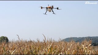 Des drones pour traiter les champs de maïs avec des trichogrammes [upl. by Weksler]