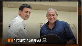 🔴EN VIVO  11° SUBASTA GANADERA Cab LOS ALFREDOS desde EstEl Retiro  Alfredo SMondino251024🔴 [upl. by Llyrpa870]