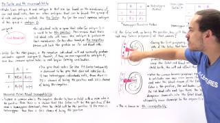 Paramagnetism and Diamagnetism [upl. by Jeramie]