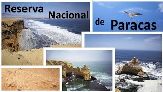 Reserva Nacional de Paracas Perú  Lo mejor [upl. by Bolling]