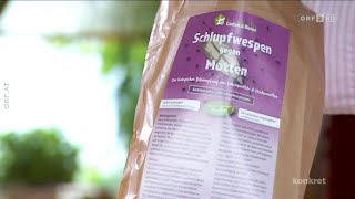 Marianne Jäger  Mottenbekämpfung mit Schlupfwespen [upl. by Sutit]