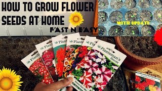 How To Grow Flower Seeds Fast With Update [upl. by Ekusuy]