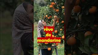 rêver de mandarine significationet créativitéprospéritépositivitésymbolesrêves liés nourriture [upl. by Atews]