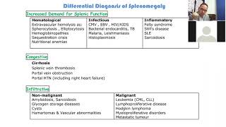 Hematology 14a  Lymphadenopathy splenomegaly and hypersplenism [upl. by Blisse]