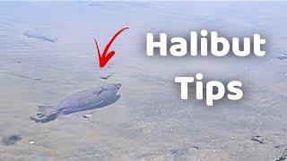 Halibut tips  Drop Shot Rig EXPLAINED [upl. by Brechtel13]