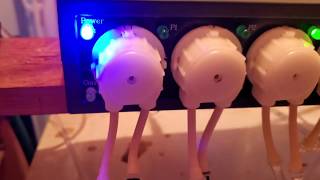 Automatic Water Changes amp Top Offs With Dosing Pumps 🆒 [upl. by Attehcram451]