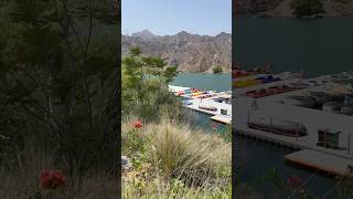 Khorfakkan 🚢 Boat Ridings  UAE khorfakkan uae خورفكان امارات [upl. by Eenot]