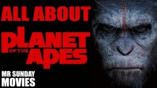 Rise of the Planet of the Apes  In cinemas August 4 [upl. by Ssilem]