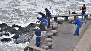 PESCA PESADA NECESITARON VARIAS MANOS PARA LEVANTAR HERMOSO PESCADO [upl. by Mcclenon]