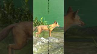 FOX HUNTING shorts viralvideo party 011 [upl. by Monjan]