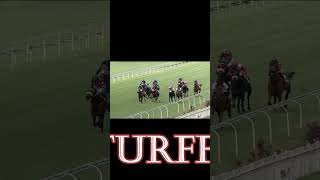 Bless My Stars MET 2024 shorts horseracing  shortvideo viral 49ers  horseracingtips [upl. by Aristotle496]