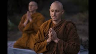 A Changing World an Unchanging Heart  Ajahn Nyaniko [upl. by Ariel553]