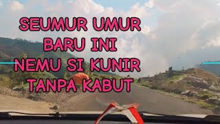 DIENG SIKUNIR WONOSOBO TERKINI CERAH LUAR BIASA [upl. by Ynogoham189]