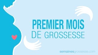 Premier mois de grossesse  Mois 1 de grossesse  La grossesse mois par mois [upl. by Silenay]