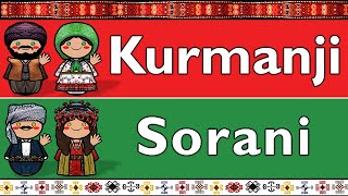 KURDISH KURMANJI amp SORANI [upl. by Ezitram]