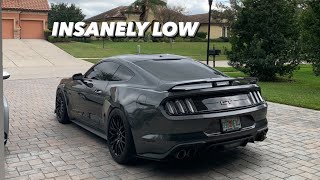 Mustang Gets Lowered on EIBACH SPORTLINES LOWEST SPRINGS ON MARKET [upl. by Goldshlag292]