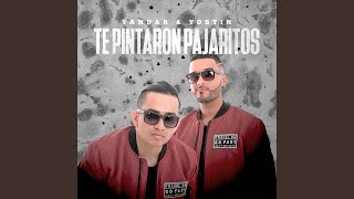 Te Pintaron Pajaritos feat Andy Rivera [upl. by Nnylamme891]