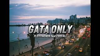 Floyymenor feat Cris MJ  Gata OnlyLyricsSoSongs [upl. by Notnilc]