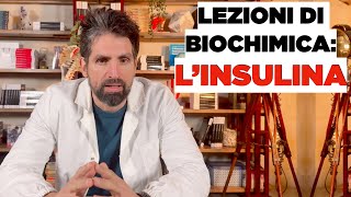 Lezione di biochimica lINSULINA [upl. by Tarttan]