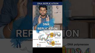 Dna replicationProkaryotesEukaryotestamilnotestypesdiagramsemiconservativecsir net [upl. by Agnimod917]