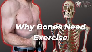 How Your Bones Change With Exercise [upl. by Tnecniv]