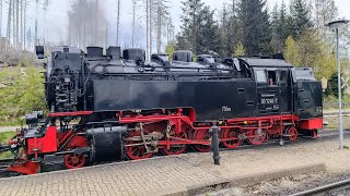 Schmalspurbahn Harz  2024  Historische Dampfloks Züge Brockenbahn Sachsen Anhalt  Deutschland [upl. by Matty]