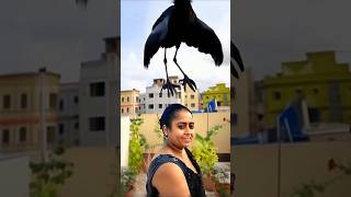 Woman transforms into a real Crow 🐦 in AGT Americas got talent 😱😂 Duo SchumacherAGTmagic [upl. by Naeroled877]