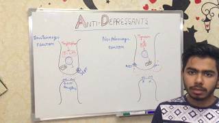 BASICS OF ANTIDEPRESSANTS [upl. by Kciwdahc]