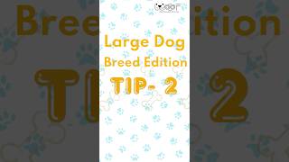 Find out about the most common disease in large dog breeds with Woof  Tip2 [upl. by Riatsala]