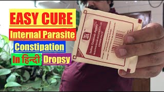 HOW to Epsom Salts Cure for Freshwater Aquarium Fish amp Pond Fish Dropsy Bloat amp Internal Parasite [upl. by Nyliak]