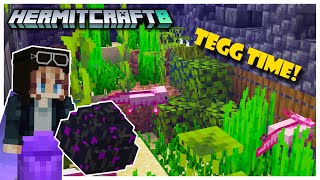 Hermitcraft S8 Mini Maze TEGG Game We Have the Egg  Episode 6 [upl. by Yobybab]