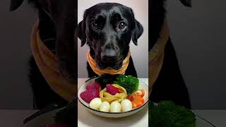 Food lovers tv  🥦🫑🍓🥞Best dog food brands uk  Best homemade dog food dogs fooddog dogsfood [upl. by Suoivart]