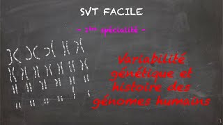 SVT FACILE  1ère spé  Variabilité génétique et histoire des génomes humains [upl. by Gere36]