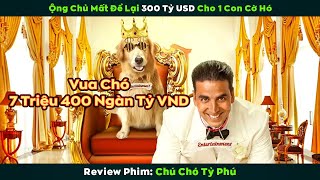 Review Phim Cậu Vàng sau khi bị Lão Hạc bán trở thành Vương Giả Ấn Độ [upl. by Giah]