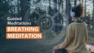 Guided meditation  for inner calm [upl. by Netsyrc]