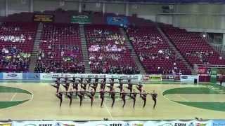 Kentridge Chatelaines  Kick  State Competition 2015 [upl. by Ebeohp]