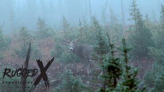 Hunting Whitetail Deer in a Hurricane [upl. by Nahtahoj151]