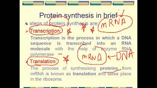 protein synthesis inhibitors part 1 2024 [upl. by Ierbua917]